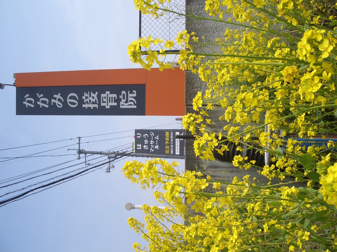 かがみの接骨院